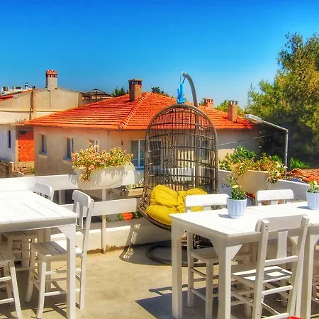 1881 Concept * ألاتشاتي