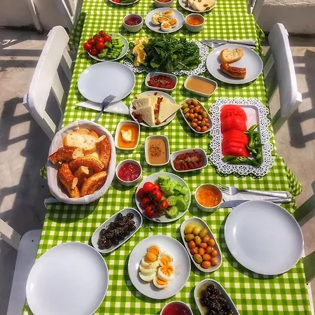 1881 Concept ألاتشاتي