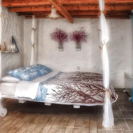 Hotel 1881 Concept *