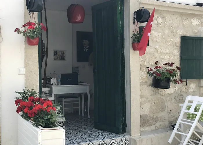 1881 Concept * 알라카티